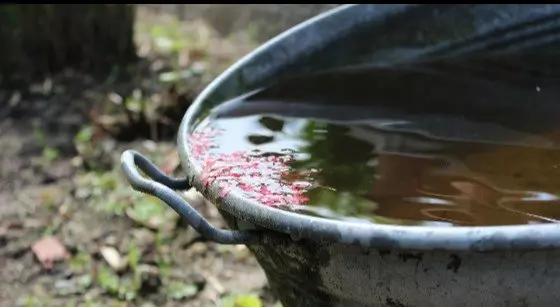 Is Artificial Grass Environmentally Friendly? CAPTURING RAINWATER