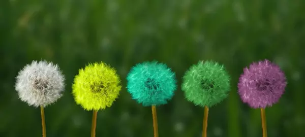 HOW WILL THE ARTIFICIAL GRASS BE USED?