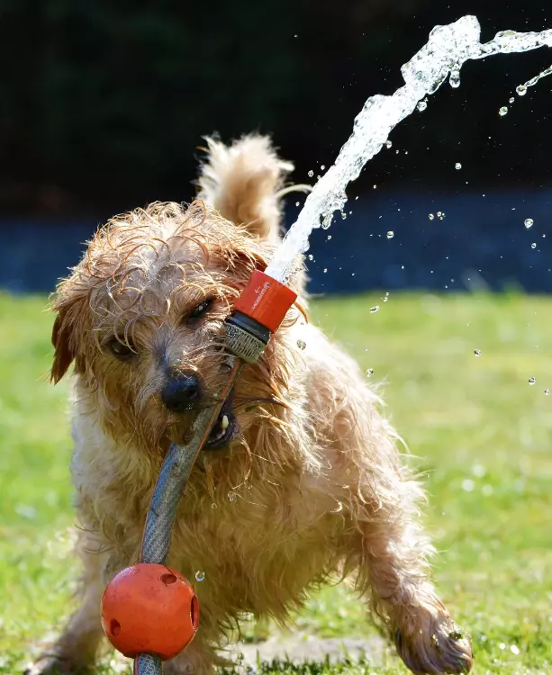 HOW ECO-FRIENDLY IS ARTIFICIAL GRASS?