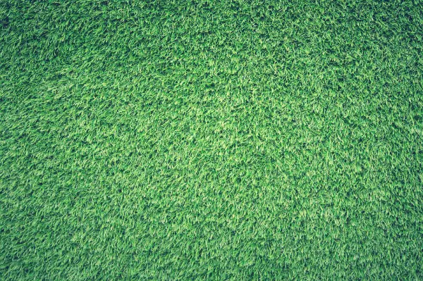 GO GREEN WITH ARTIFICIAL TURF